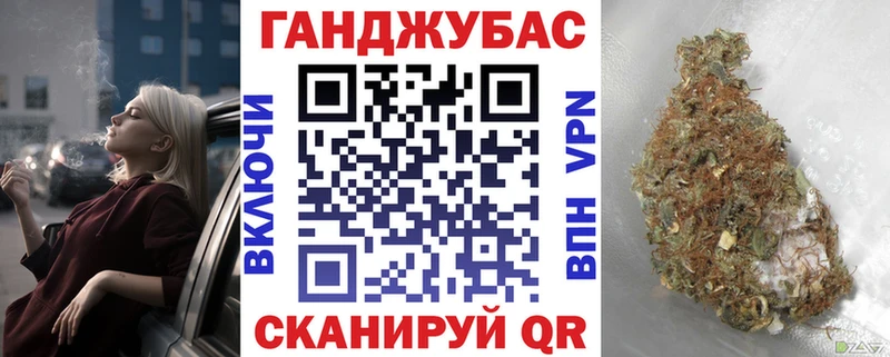 что такое   Новосибирск  Канабис индика 